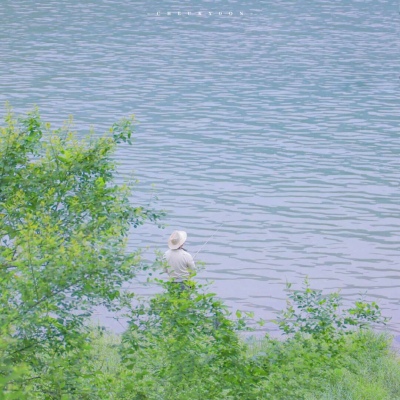 兽设潮流风格设计福瑞交流群